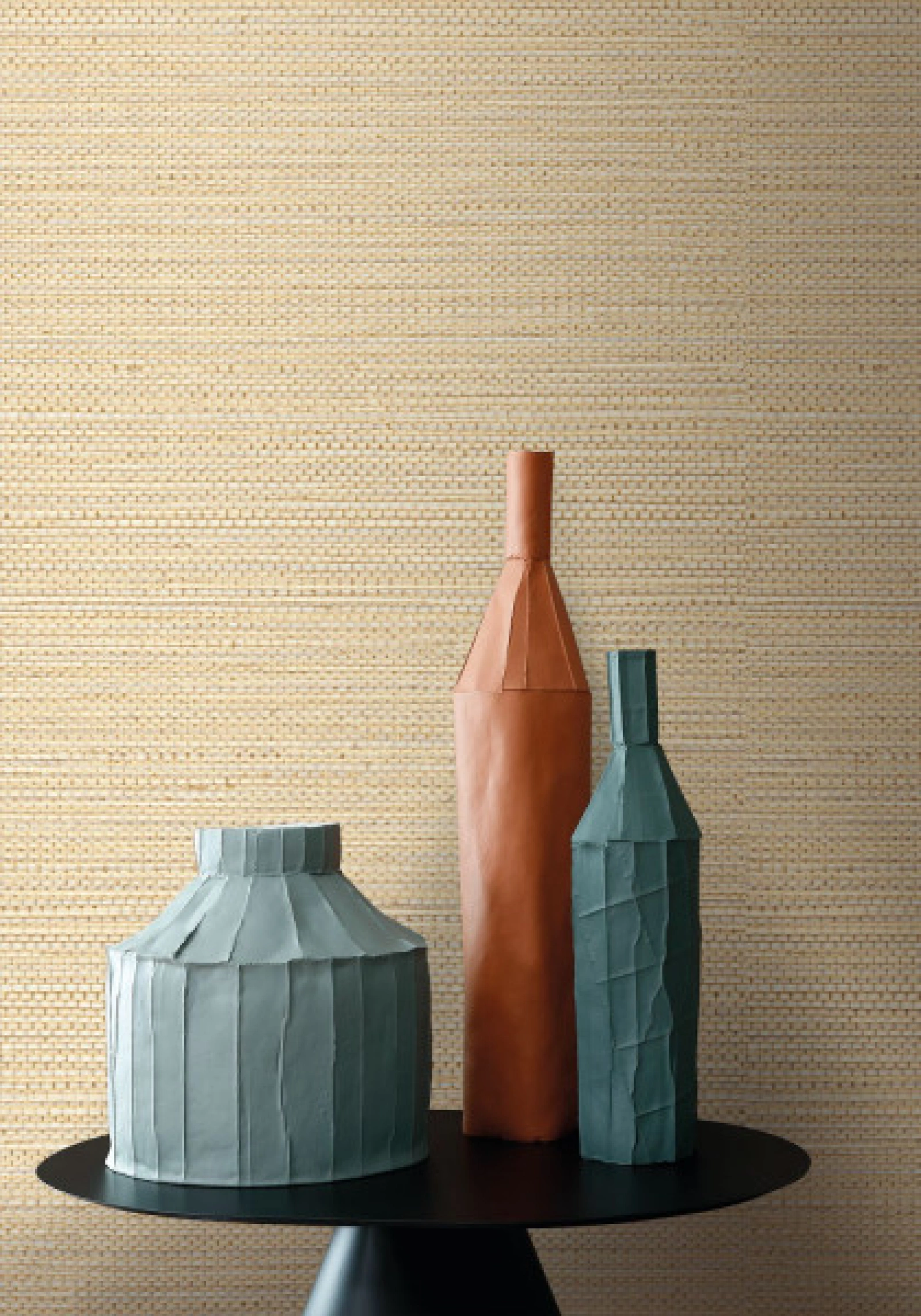 Casamance Golfe Du Bengale Zostera